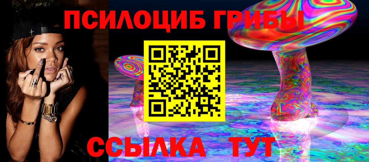 Псилоцибиновые грибы Psilocybe  купить закладку  Сунжа  Псилоцибиновые грибы Cubensis  Вход с VPN 