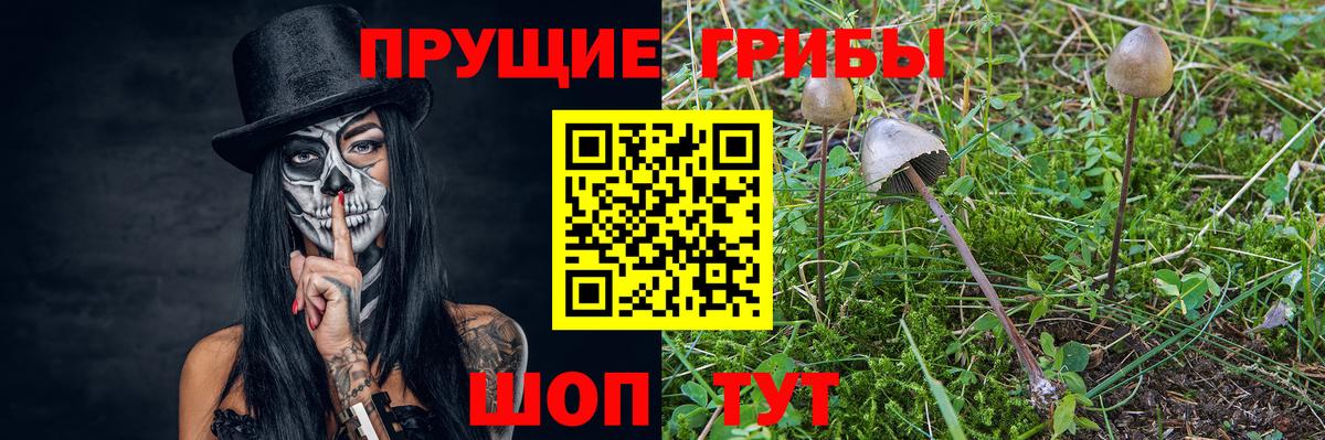 Галлюциногенные грибы мухоморы Сунжа