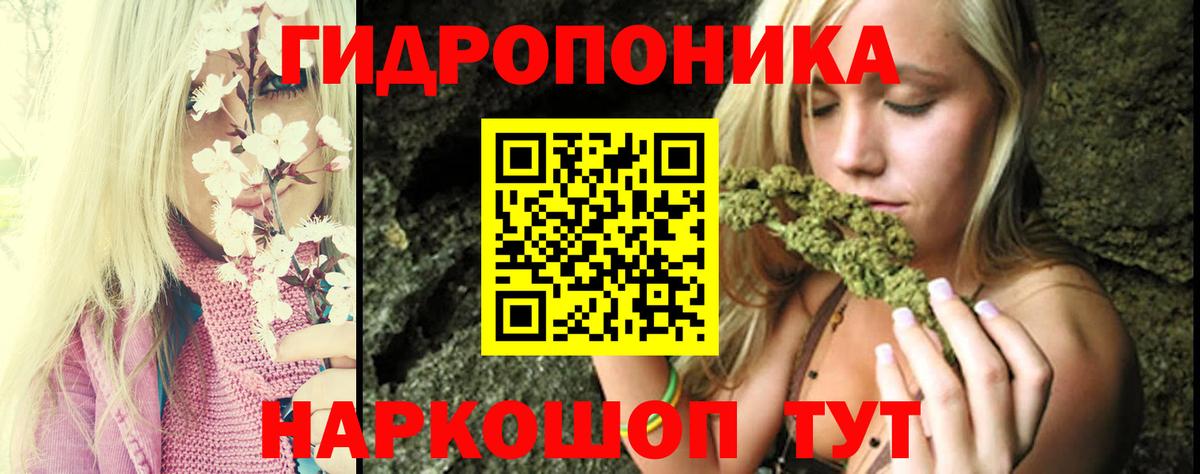 Сунжа  Каннабис Bruce Banner  Вход с VPN  Каннабис VHQ 